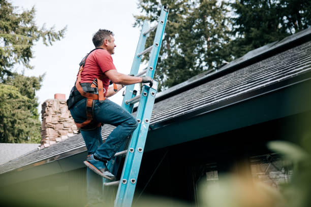 Best Steel Roofing  in Junction City, CA