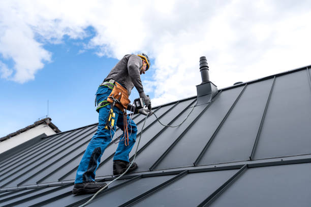 Best Roof Ventilation Installation  in Junction City, CA